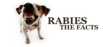 Rabies: The Facts